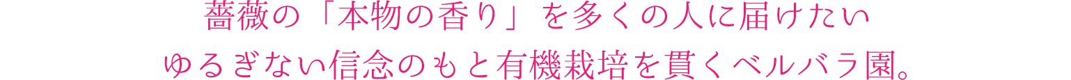 薔薇の「本物の香り」を多くの人に届けたい、ゆるぎない信念のもと有機栽培を貫くベルバラ園。